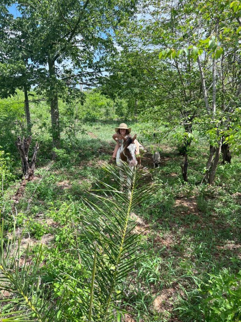 Willa Casitas At Rancho Kuxtal Tizimín Zewnętrze zdjęcie
