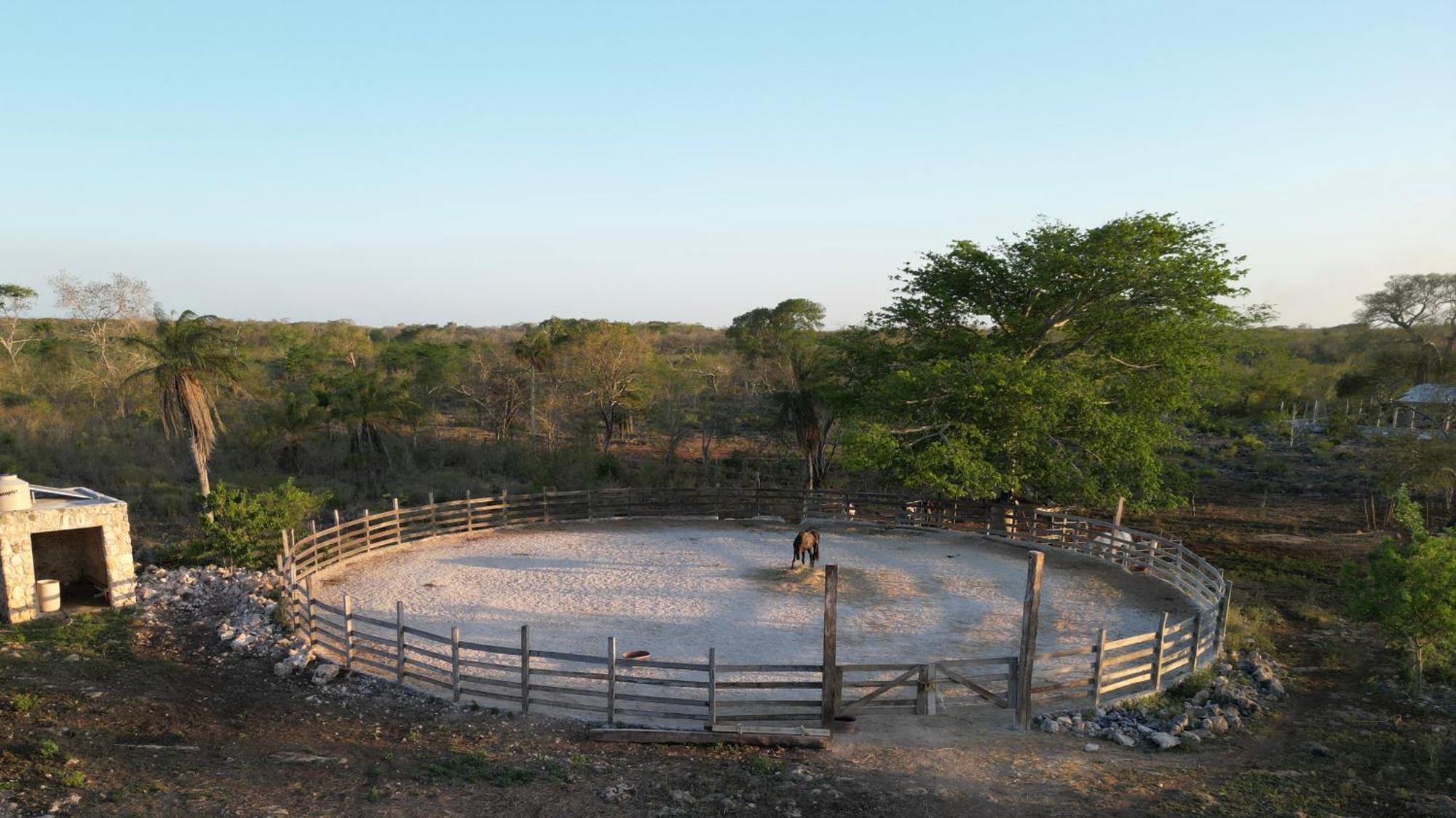 Willa Casitas At Rancho Kuxtal Tizimín Zewnętrze zdjęcie