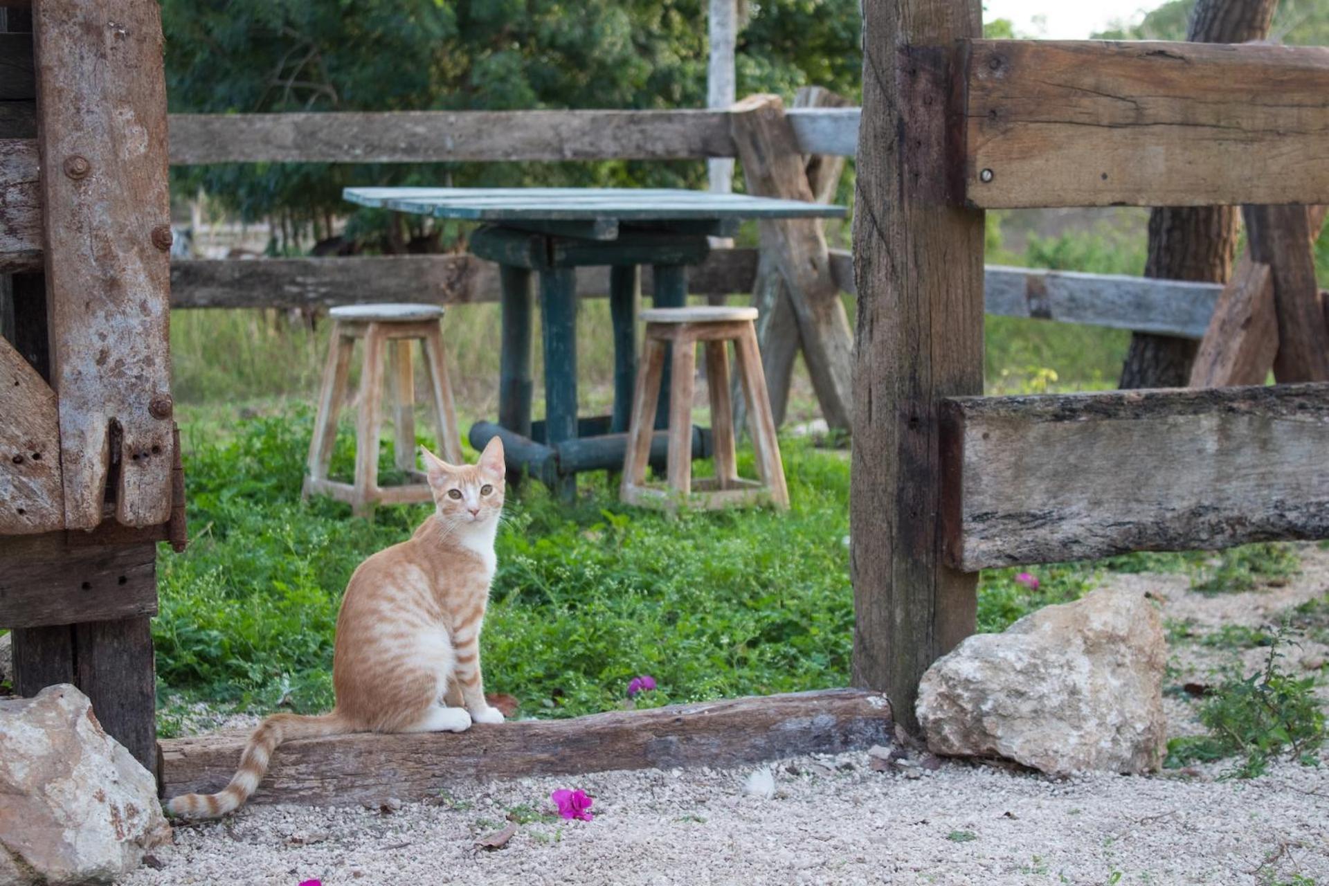 Willa Casitas At Rancho Kuxtal Tizimín Zewnętrze zdjęcie